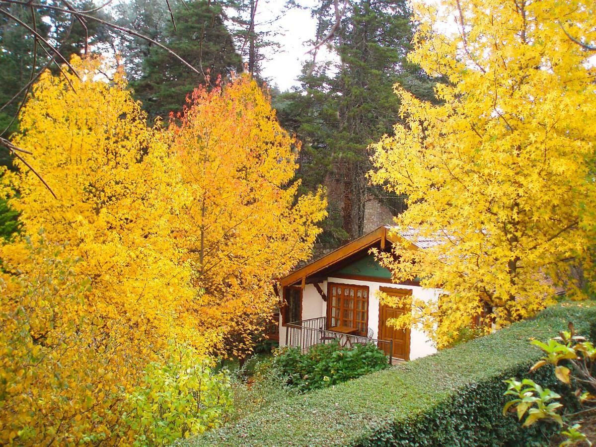 Villa Del Fiume 라 쿰브레시타 외부 사진
